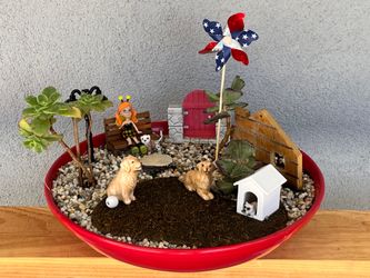 Succulents - 🇺🇸 Patriotic Dog Park 🇺🇸