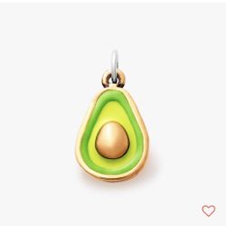 James Avery Enamel Avocado Bronze Charm