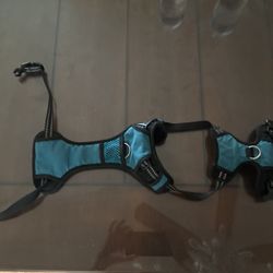 Harness For Small Dog 