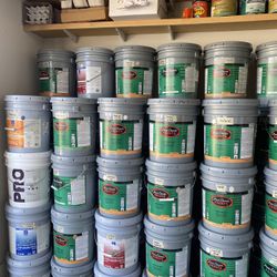 Lots Of Color paint & Primer 