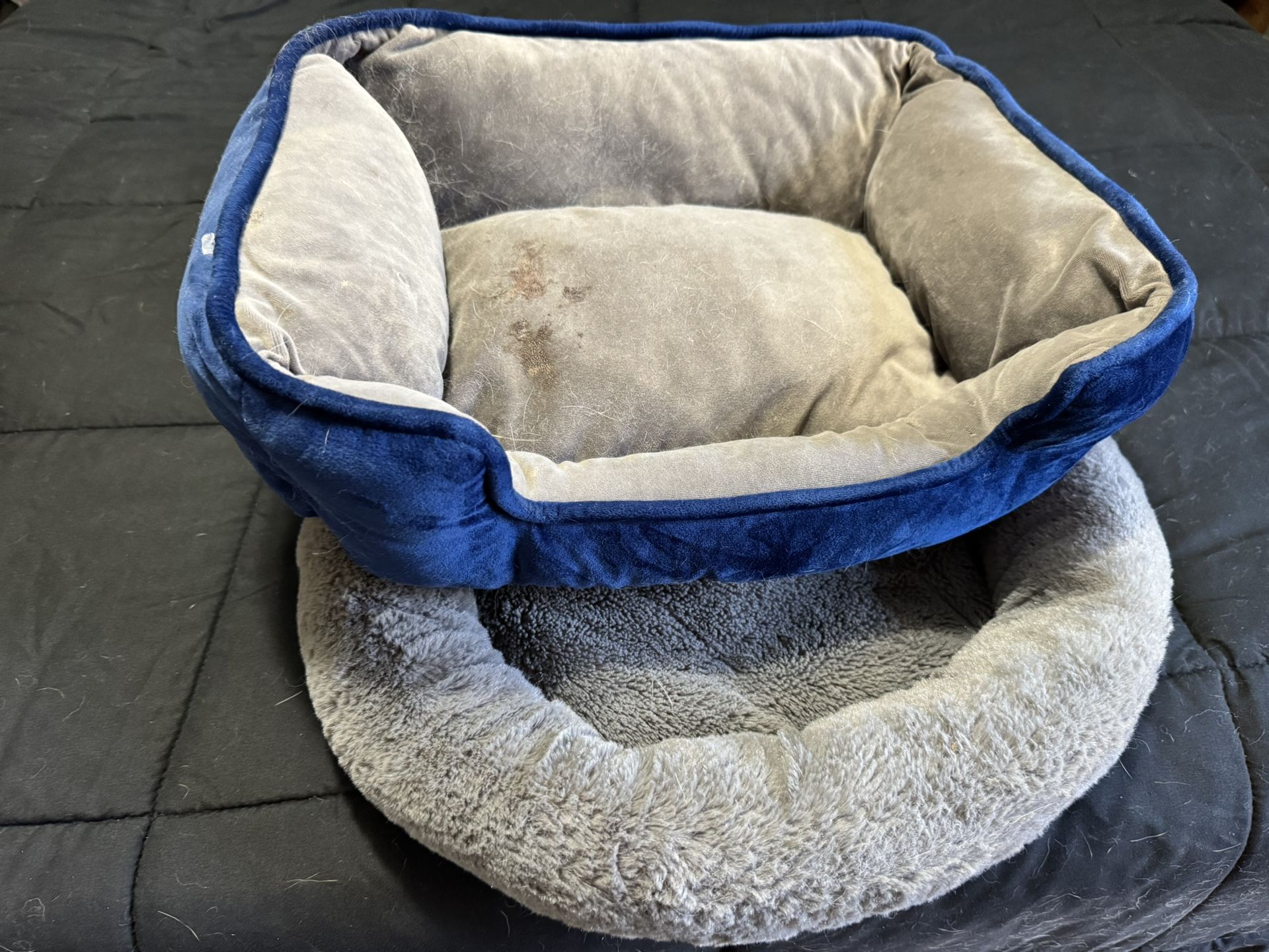 2 Small Pet Beds