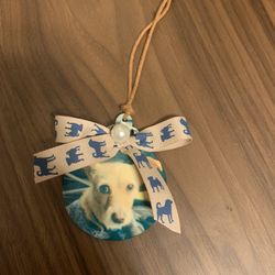 Personalized Pet Christmas Ornaments
