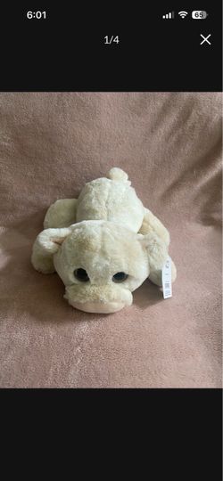 Plush Piggy
