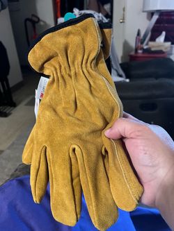 Gloves