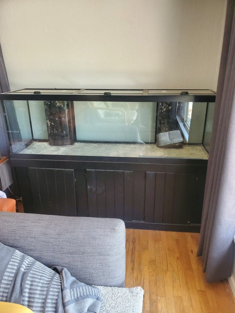 125 Gallon Back flow Aquarium