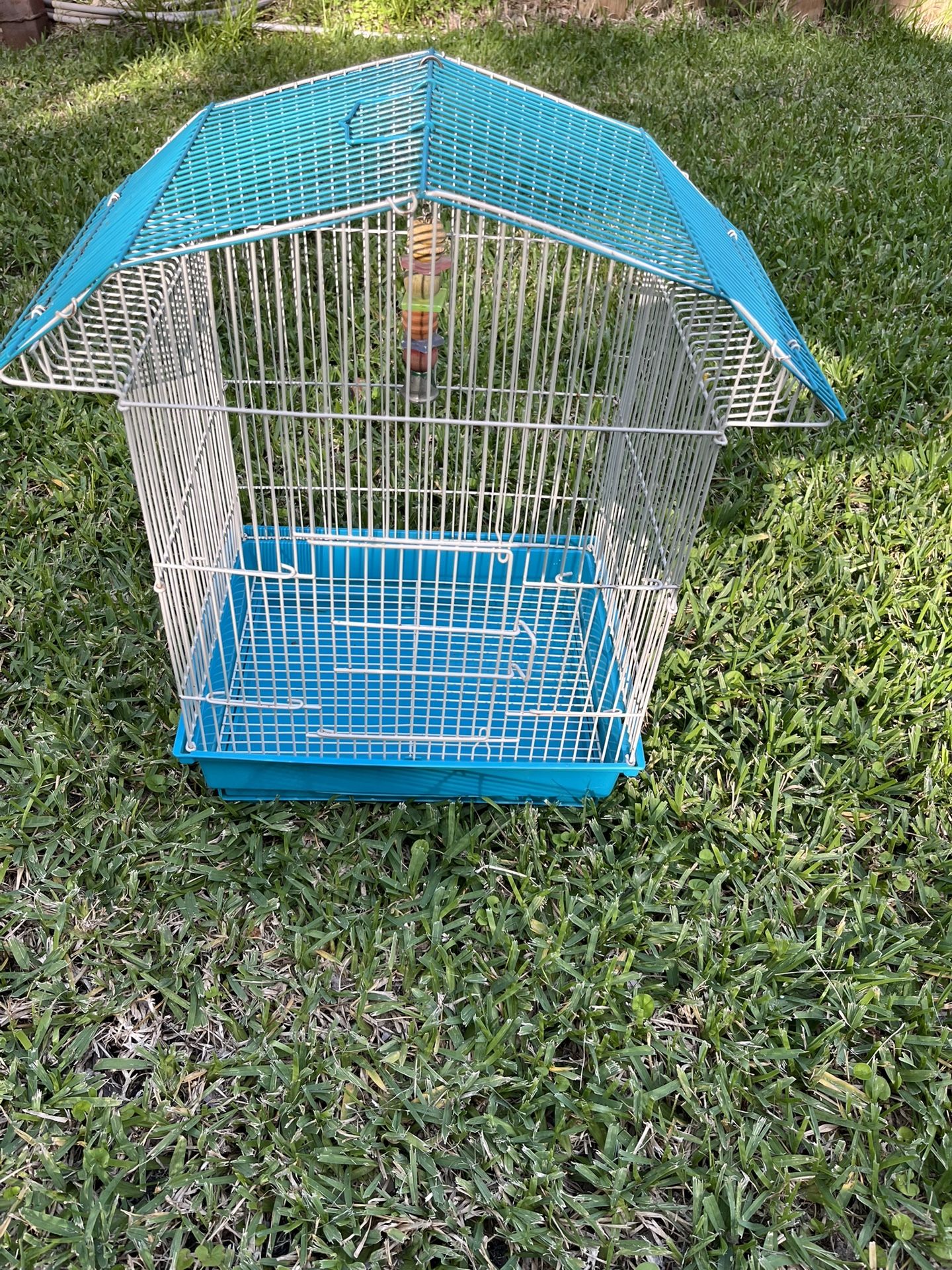 Bird Cage