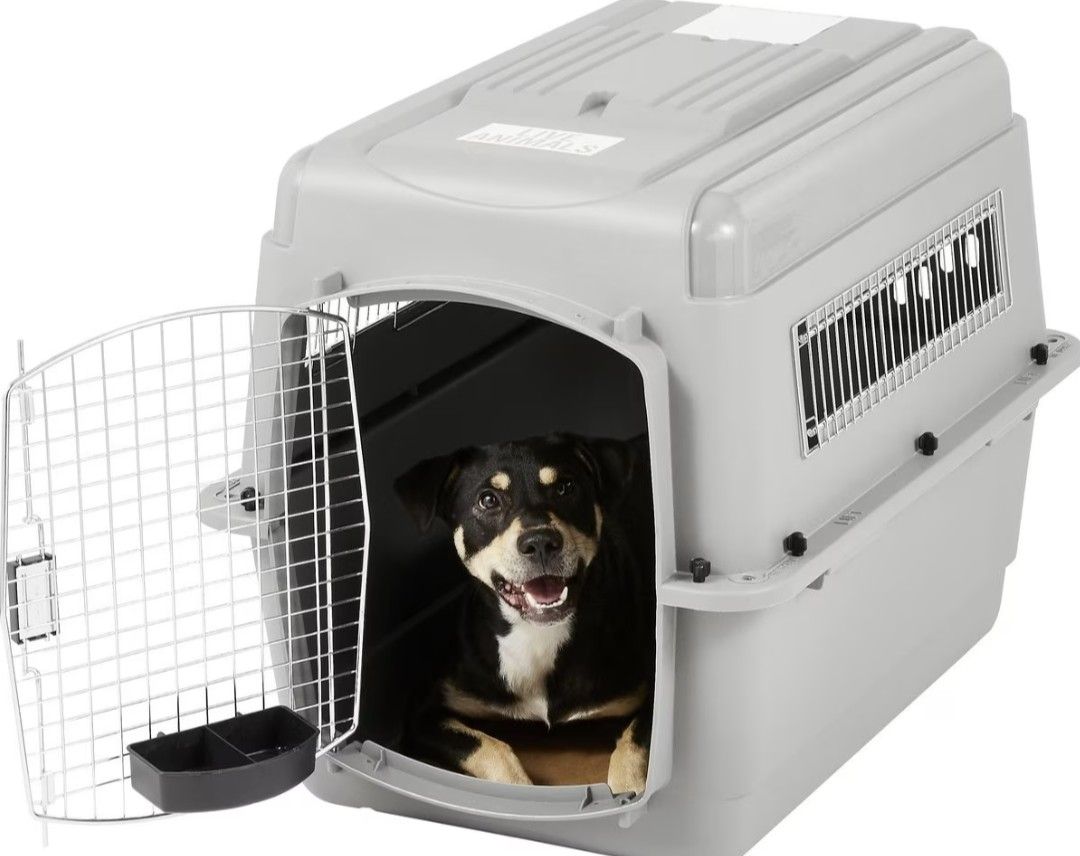 Plastic Dog & Cat Kennel - Intermediate 32x22x24 In