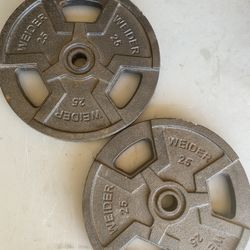 Curl Bar 25 Pounds Plates 