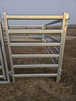 Cattle Stables , Arenas, Pens Ect
