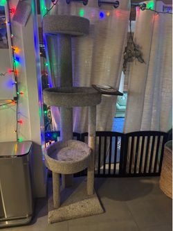 Cat castle