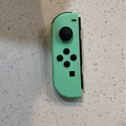 Nintendo Joy Controller