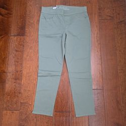 Gloria Vanderbilt Sage Green Skinny Pants