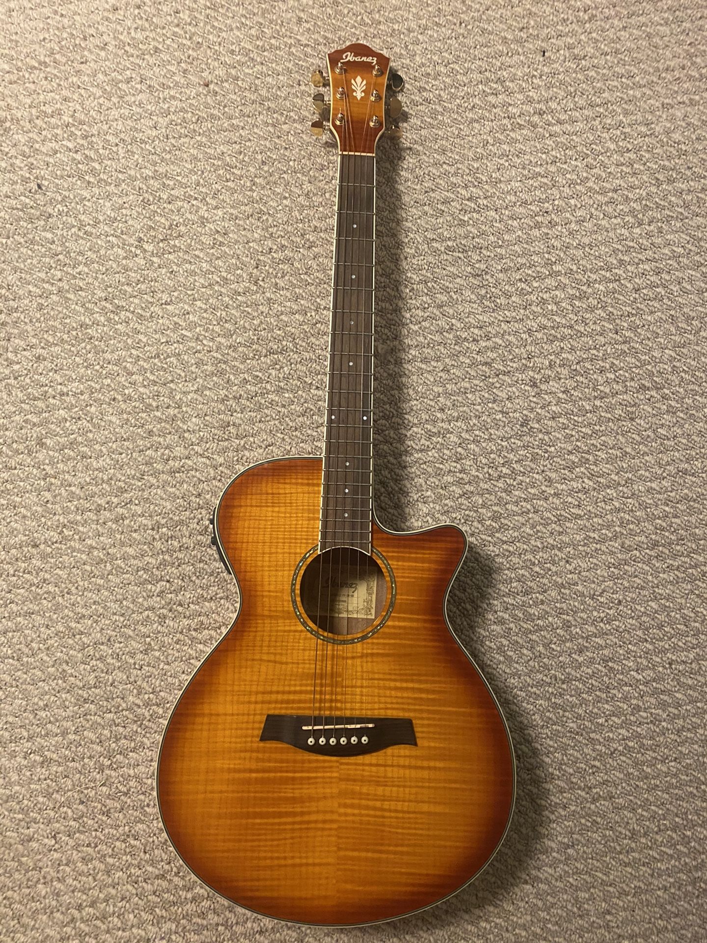 Ibanez Acoustic-Electric Guitar