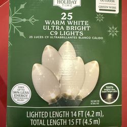 Holiday Time 25 Warm White Ultra Bright C9 Lights
