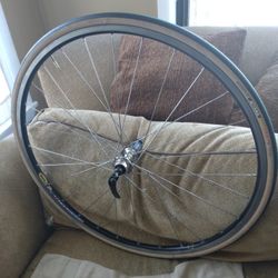 Used 700c rear wheel sales