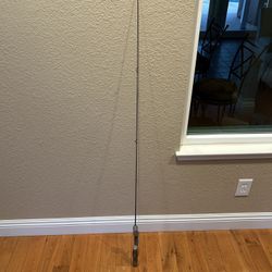 Antique Fishing Pole