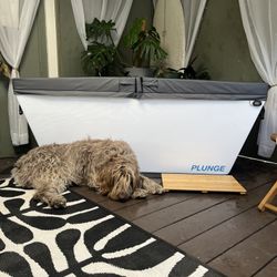 Cold Plunge By Plunge The OG Cold Plunge 