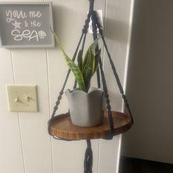 Plant Holder 