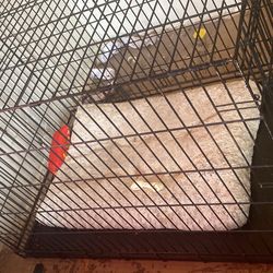 X large Dog Cage With Two Doors 
