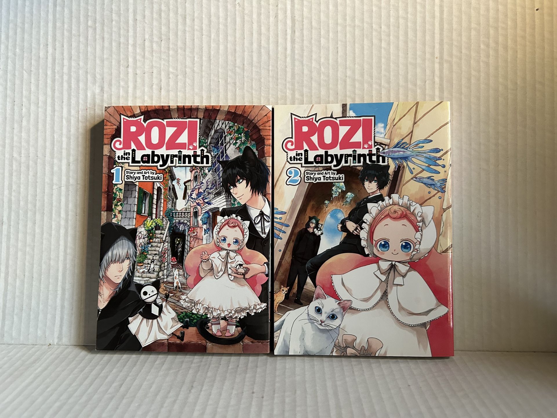 Rozi in the Labyrinth Manga Volumes 1 and 2 By Shiva Totsuki - English Manga Books
