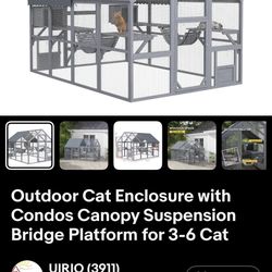 Catio