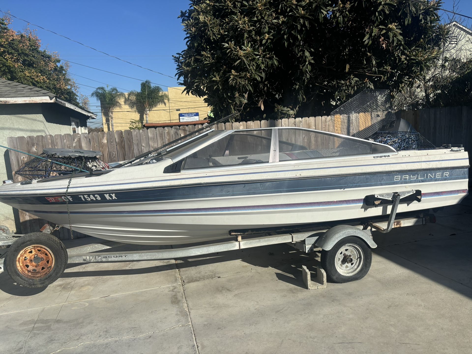 Bay liner Boat 