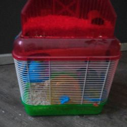 Hamster Cage And Accessories
