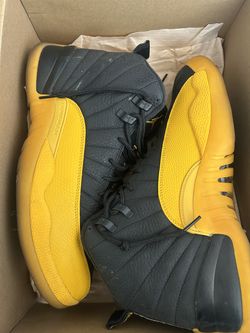 Air Jordan 12s
