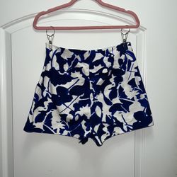 Zara Shorts