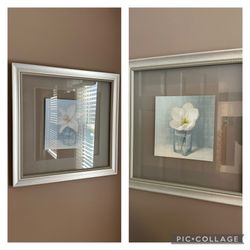 Tulip Magnolia Frame Lot