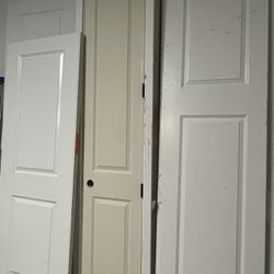 Large Door (framed)  96”x18