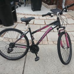 Mountain Bike Schwinn 26" Works Great 