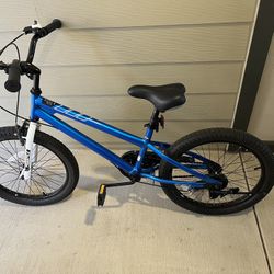 Royalbaby Freestyle Kids Bike 2 Hand Brakes 20 Inch Children's Bicycle for Boys Girls 
