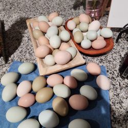 Egs Fresh And Organic Dozen