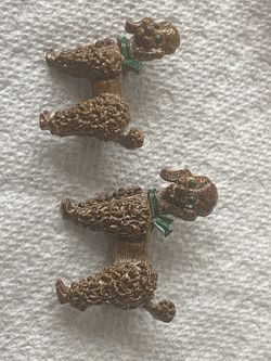 Green Eyed Poodles And Fancy Ballerinas Pins