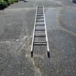 Painters 14 Ft Ladder 