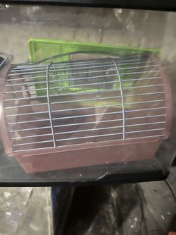 Small Animal Carrier