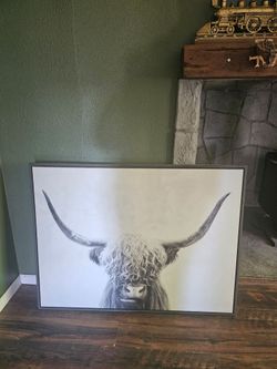 Highland Cow Wall Art