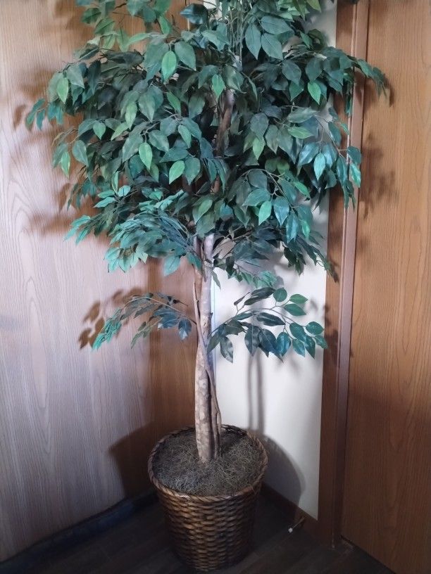  6' Fake Tree 