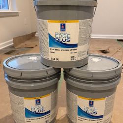 SHERWIN WILLIAMS City Love SW7631 Flat Mate 5 Gallon 