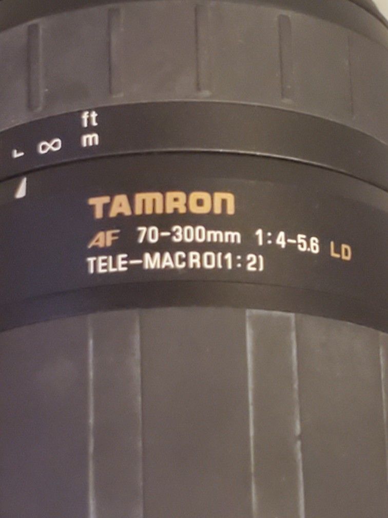 Tamron AF 70-300mm 1: 4-5.6 Tele Macro Camera Lens