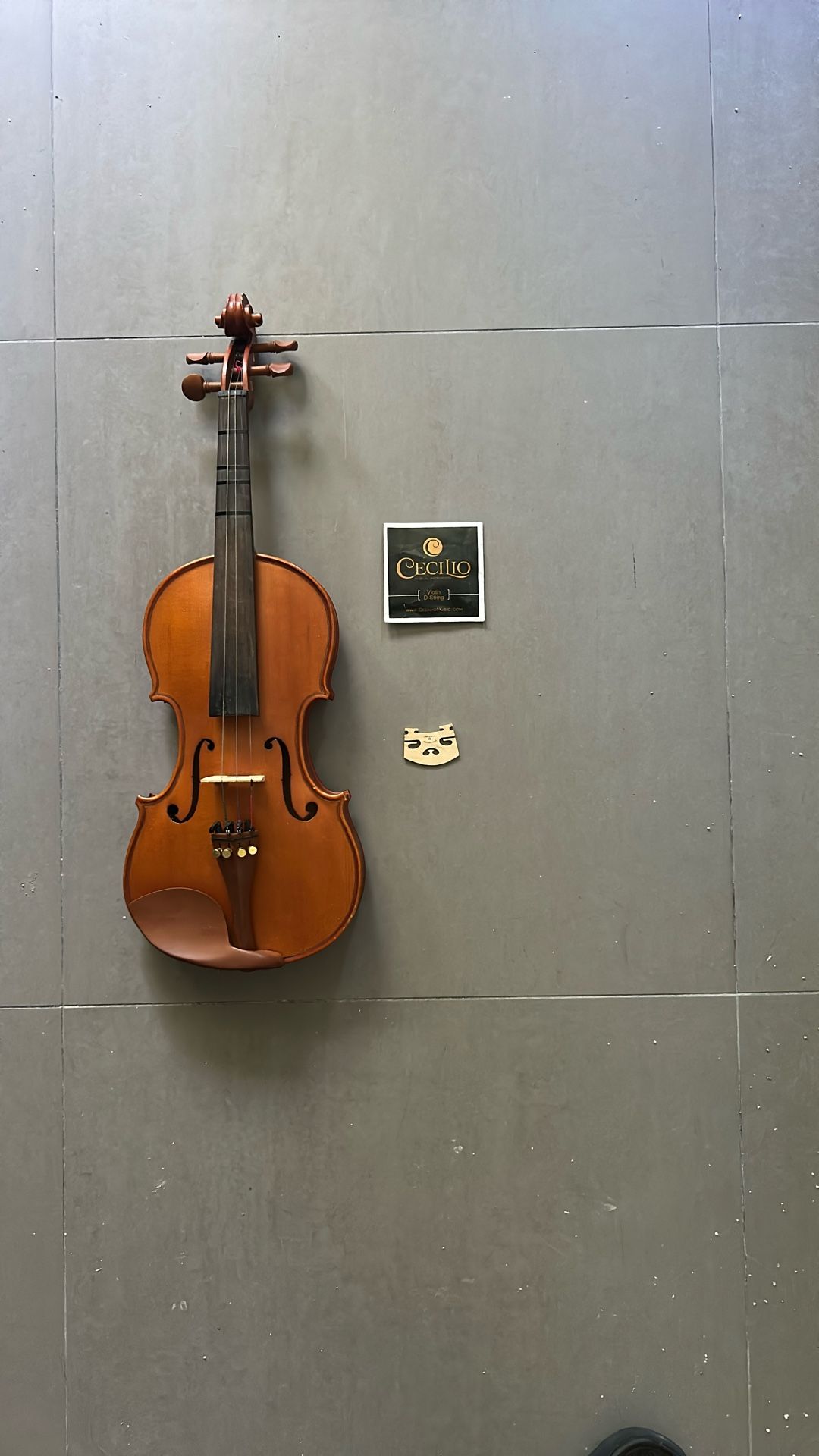 Violin By Cecilio