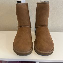 UGG Classic short 
