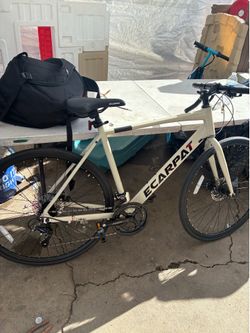 Ecarpat bike
