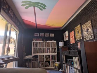 Downsizing HUGE Vinyl Record Collection! LP Records Albums