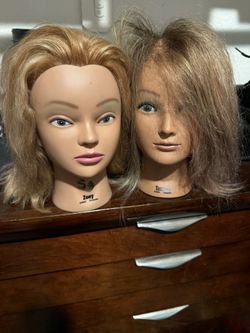 Mannequins With Real Human