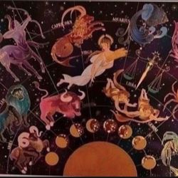 Puzzle New - Pickup From Northridge Area