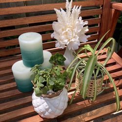 Plants Spider Plant, Succulent, Flowers in Vase & 3 Pillar Candles