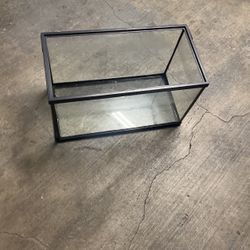 Leopard Gecko / Fish  Tank 