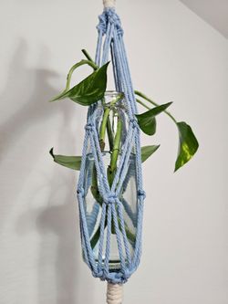 Macrame hanging propagation station